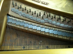 L_c3_treble_b