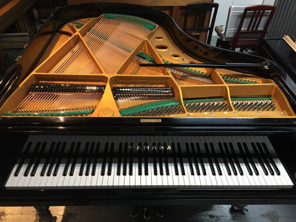 YAMAHA G2